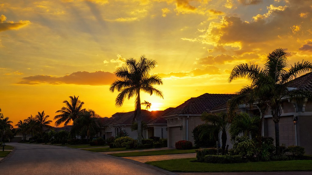 Silhouetted rooflines and palms of a Florida neighborhood under a bright sunset sky
